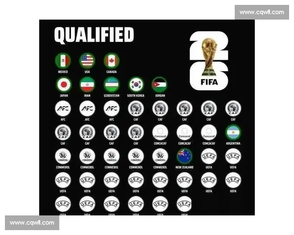 泪水与汗水，大洋洲球队的世界杯印记